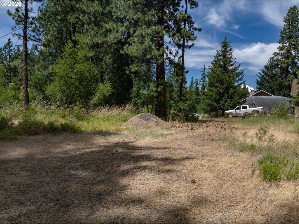 Picture 16