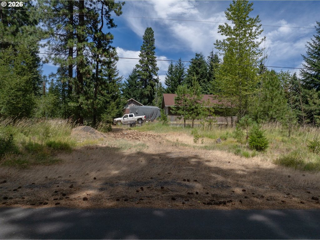 Picture 14