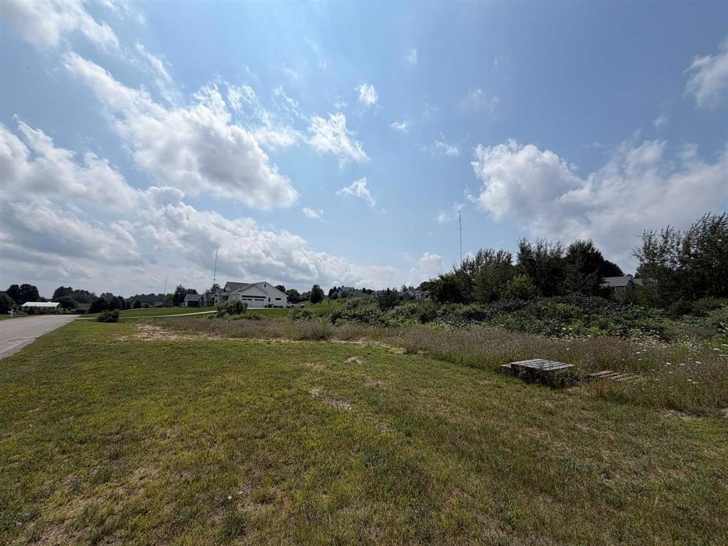 Picture 7