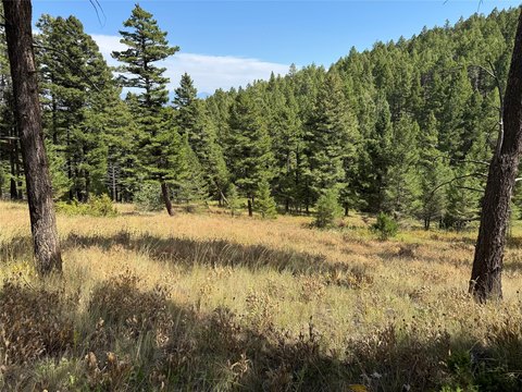 Secluded Acreage Near Helena, Montana