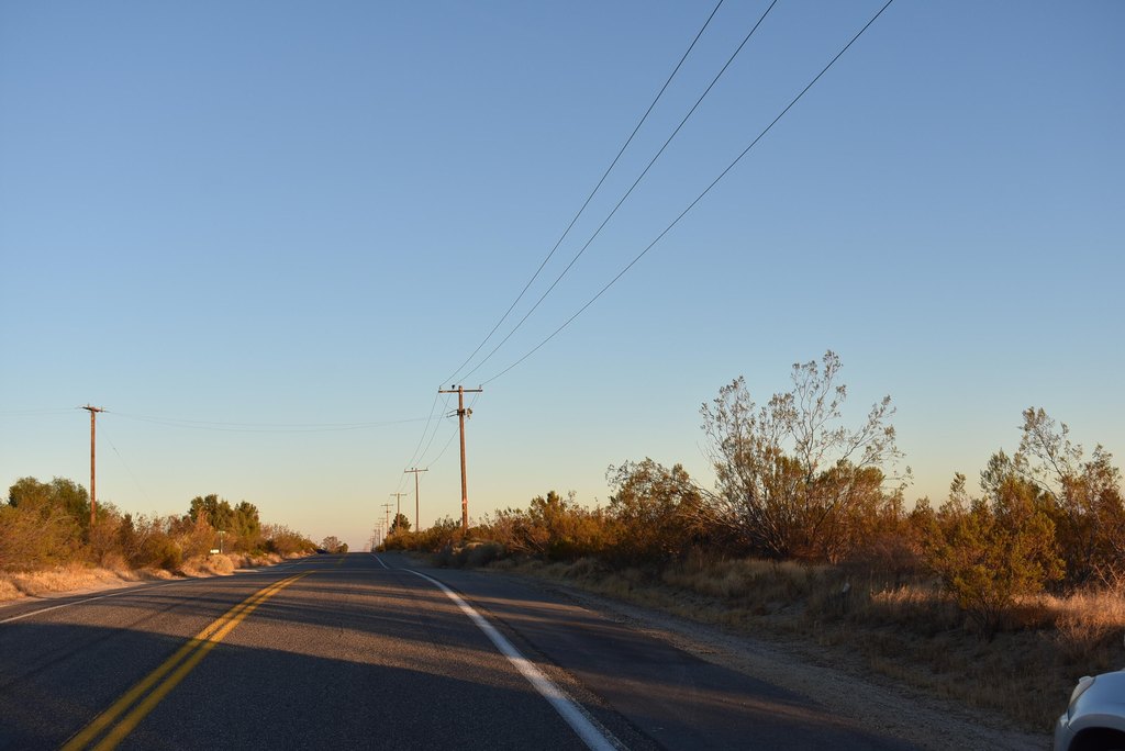 Picture 16