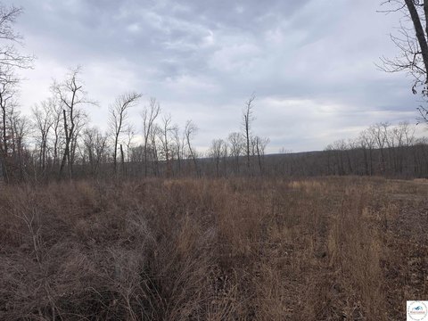 9-Acre Timbered Lot Near Lake