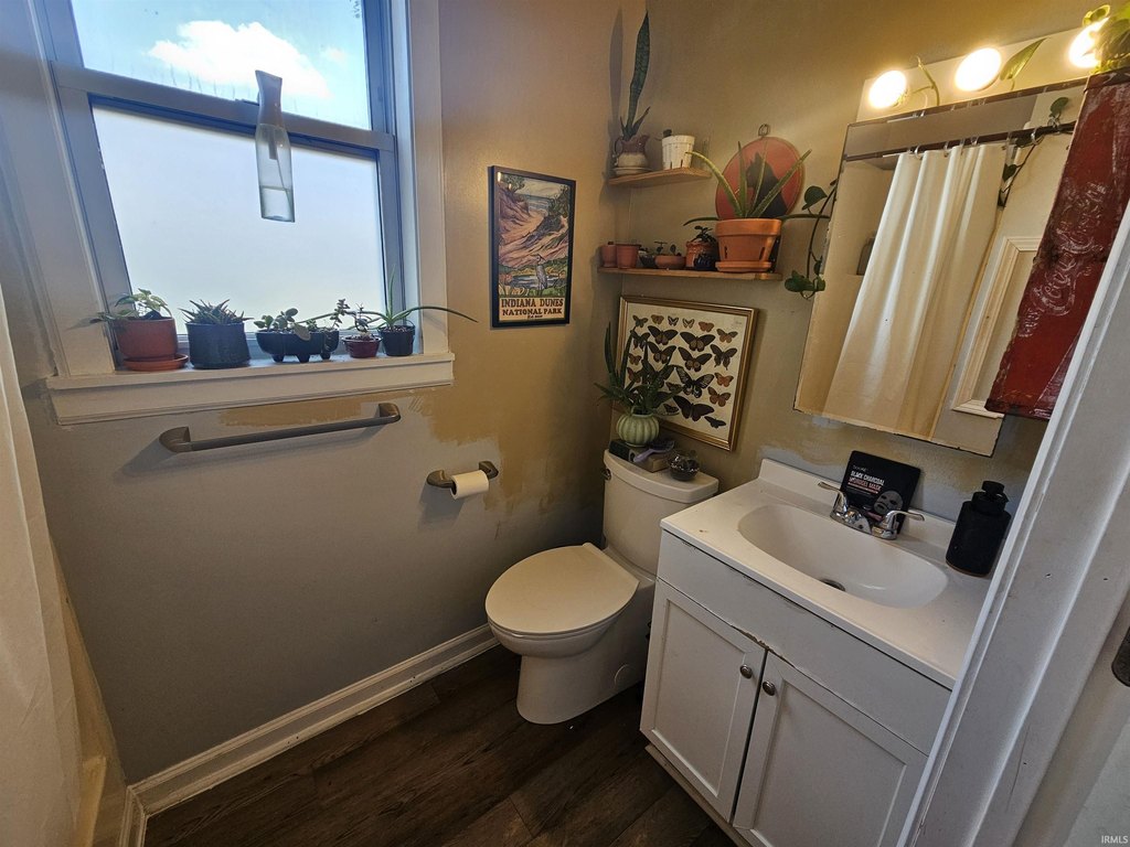 Picture 21