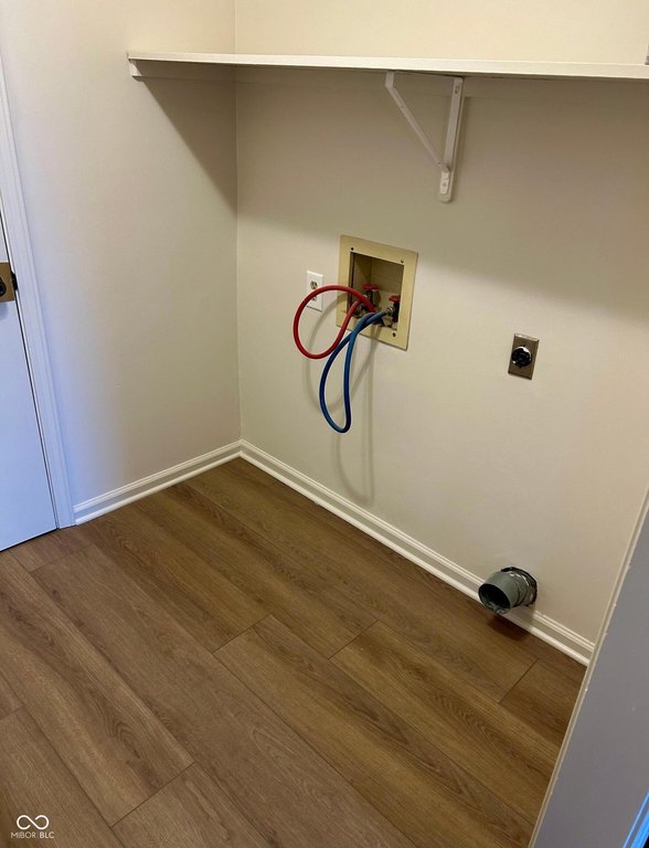 Picture 17