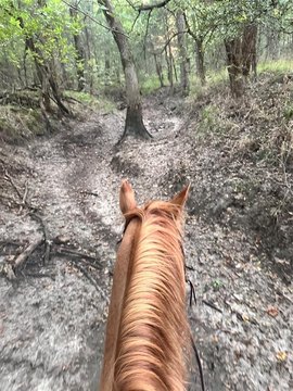 30 Acres Land For Sale