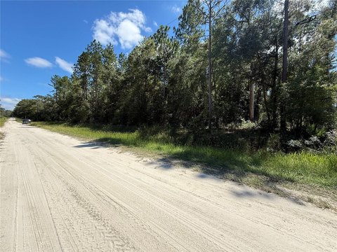 Land, DUNNELLON, FL