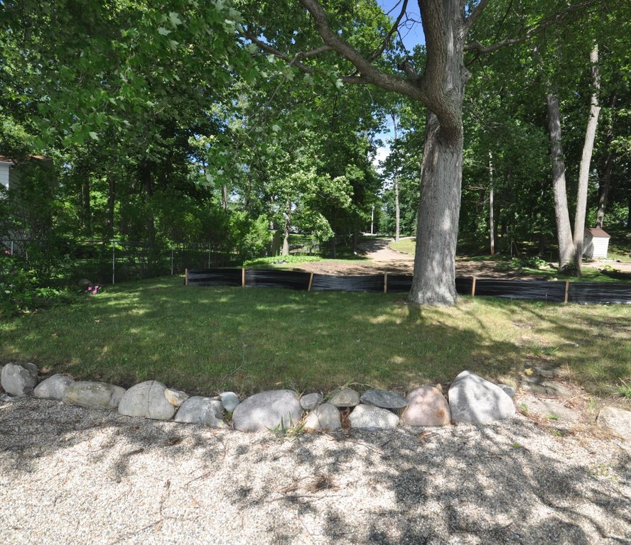 Picture 7