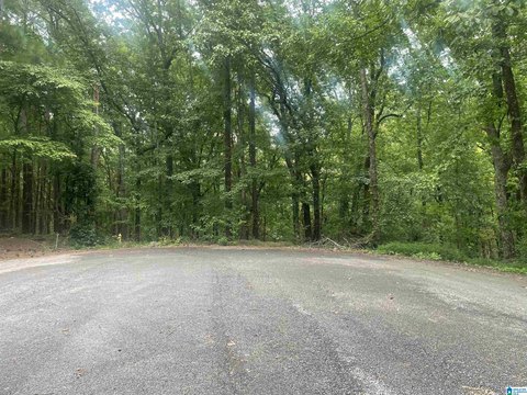 34.29 Acres in McCalla, AL