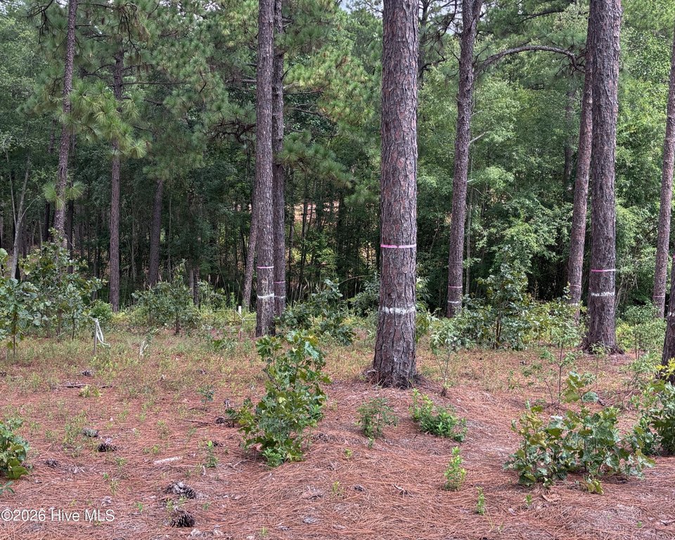 Picture 14