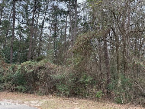 Residential Land in Diamondhead, MS