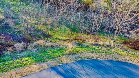 Mountain View Cul-de-Sac Lot