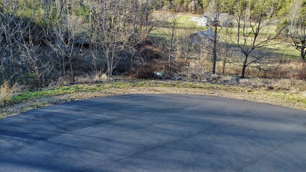 Picture 16
