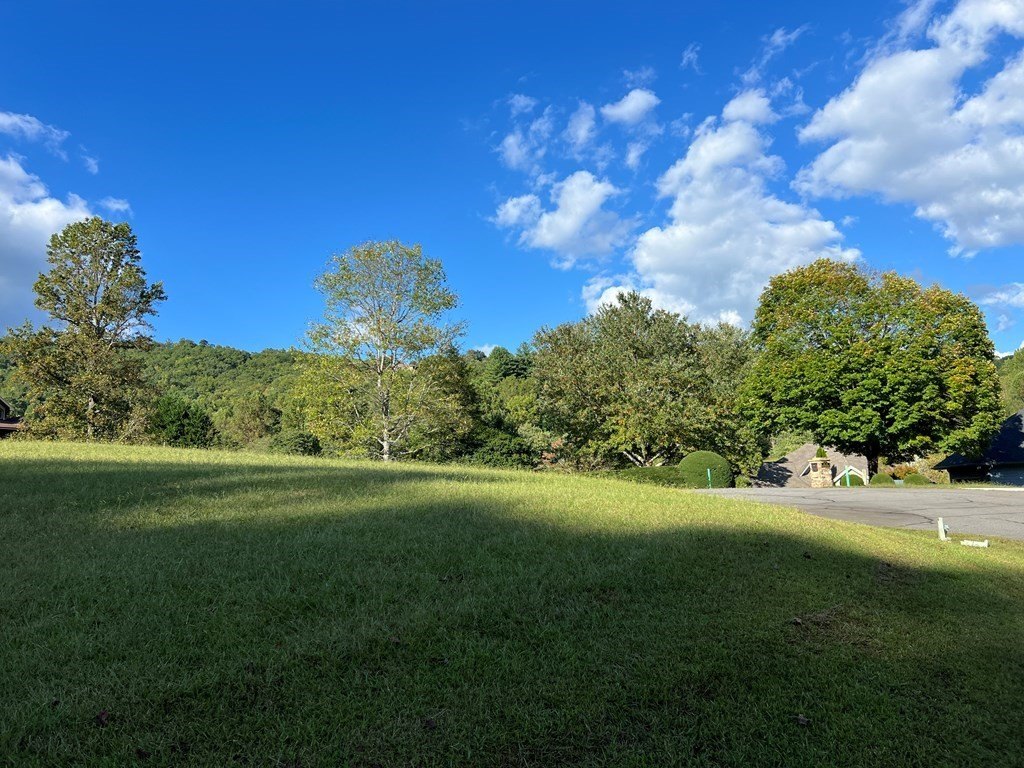 Picture 10
