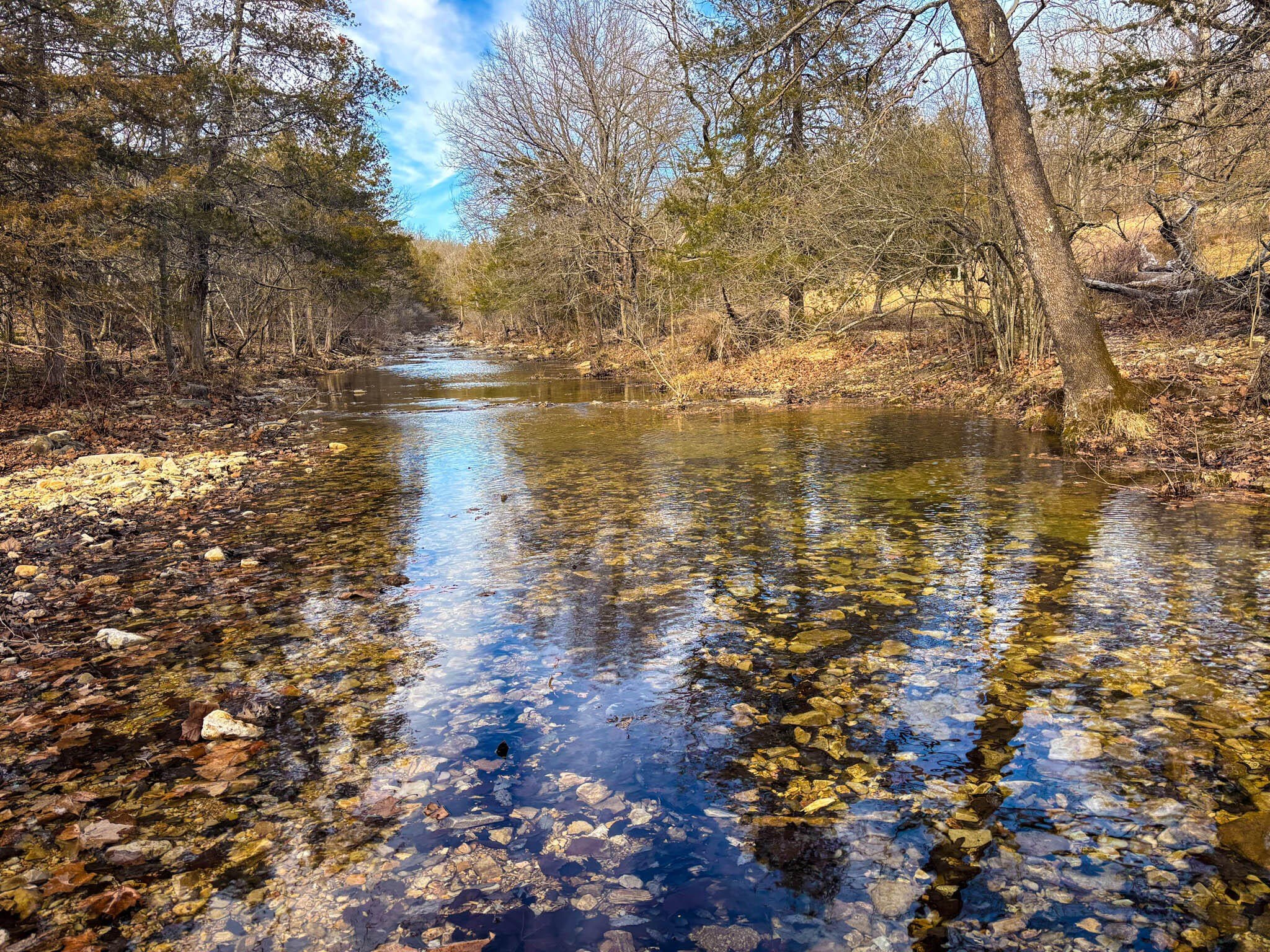 160 Acres Fenced Land, Springs