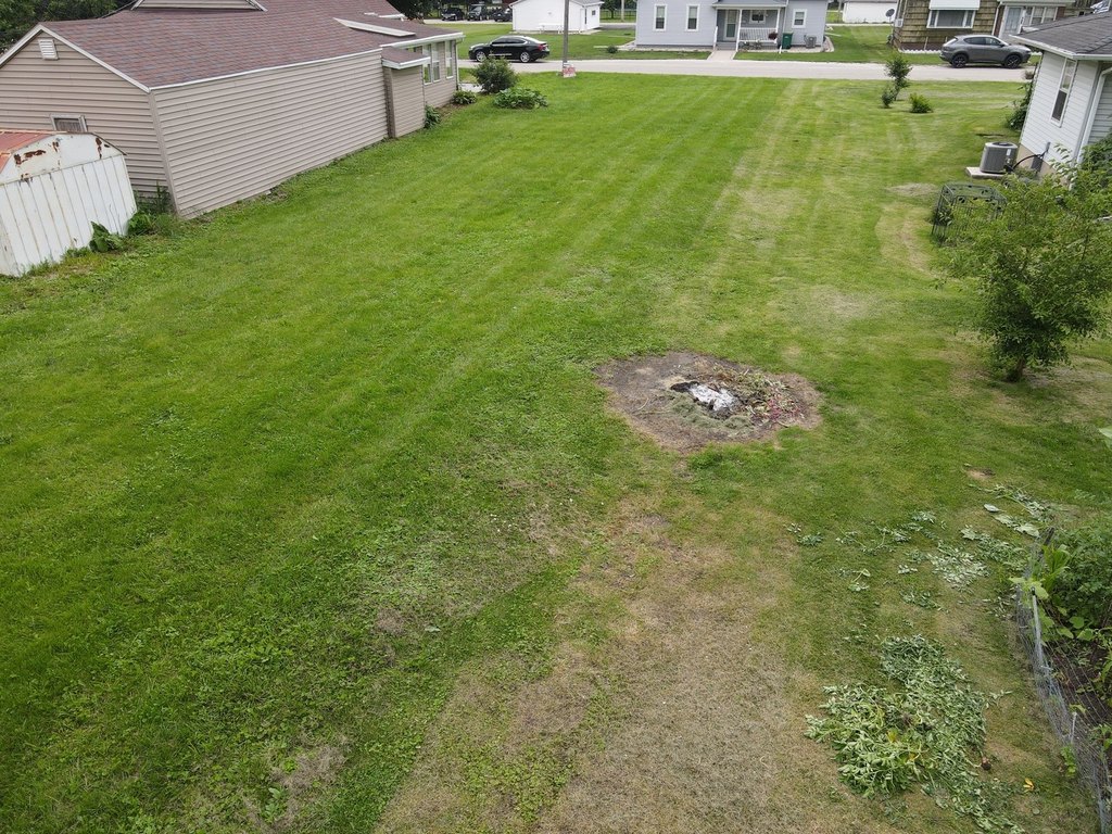 Picture 3