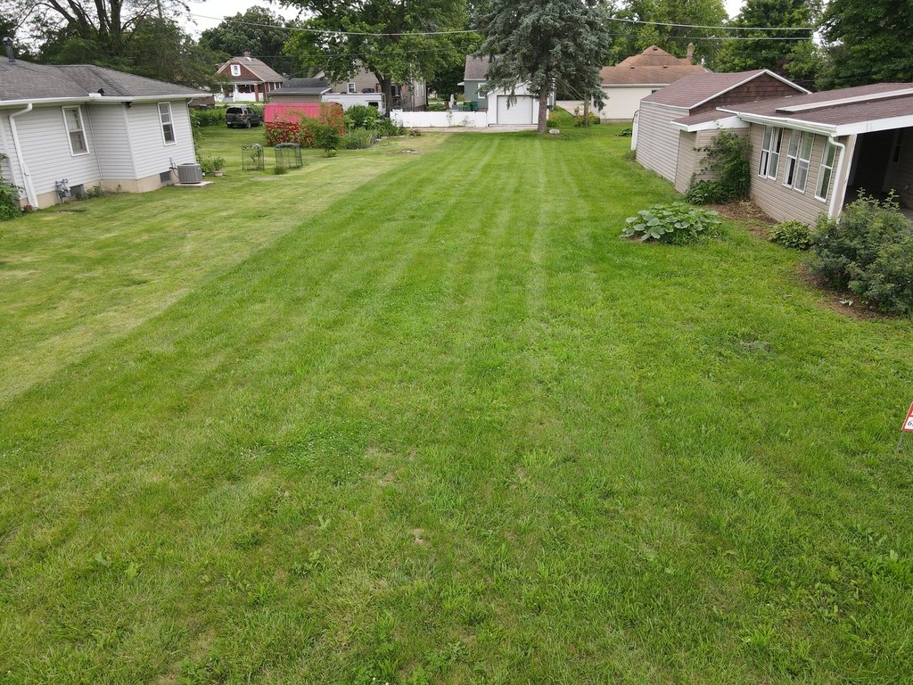 Picture 5