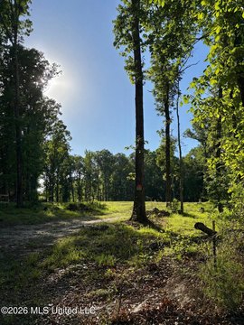 LAND - Florence, MS