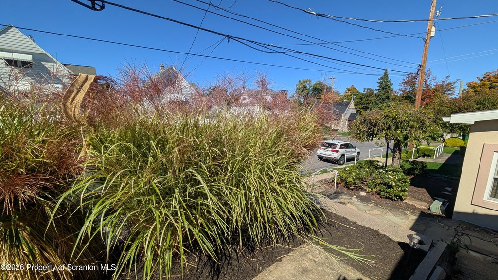 Picture 28