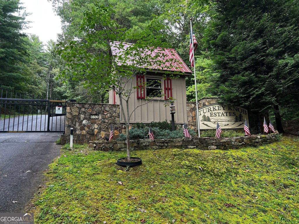 Picture 12