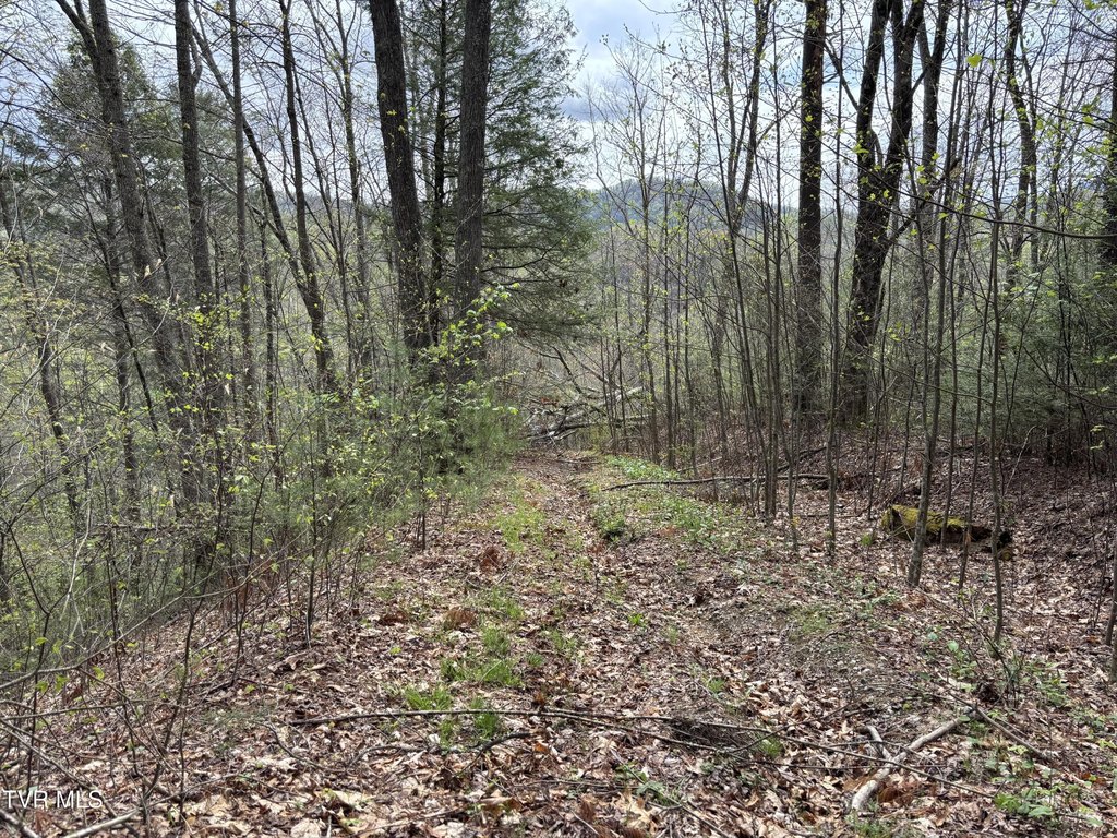 Picture 4