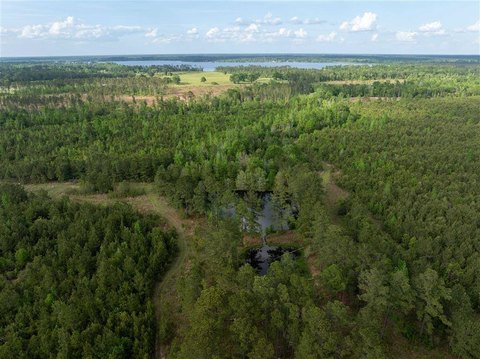 Recreational Hunting Land Tract