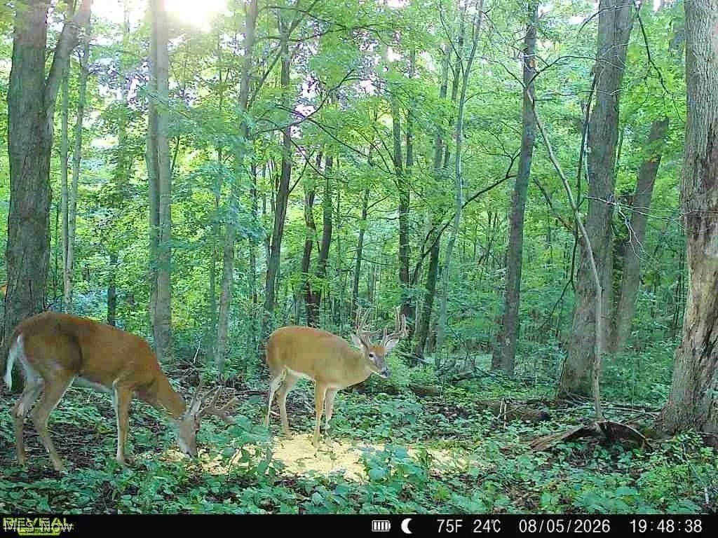 Picture 20