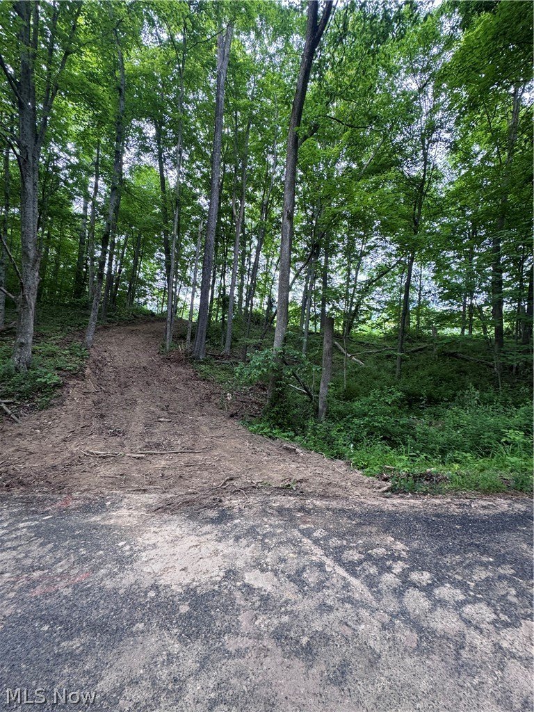 Stockport, OH Land Opportunity