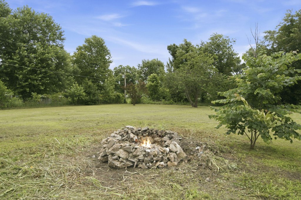 Picture 9