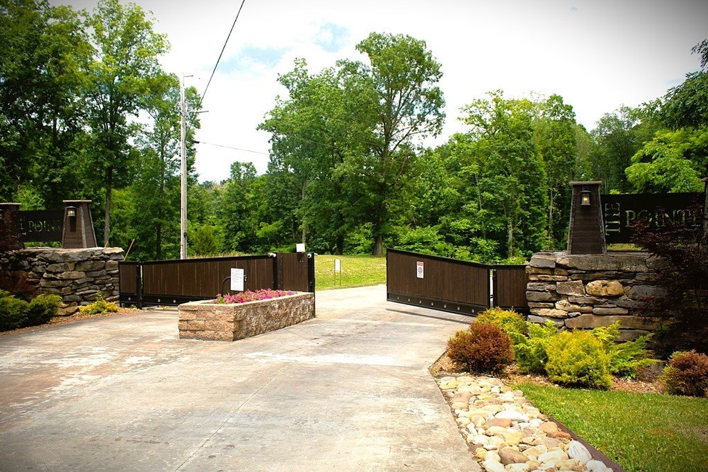 Picture 7