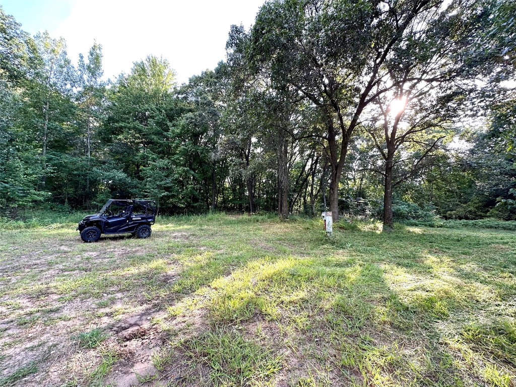 Picture 22