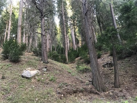 Vacant Specialty Land Parcel