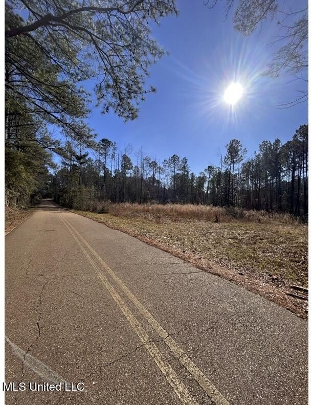 31.74 Acres in Hazlehurst, MS