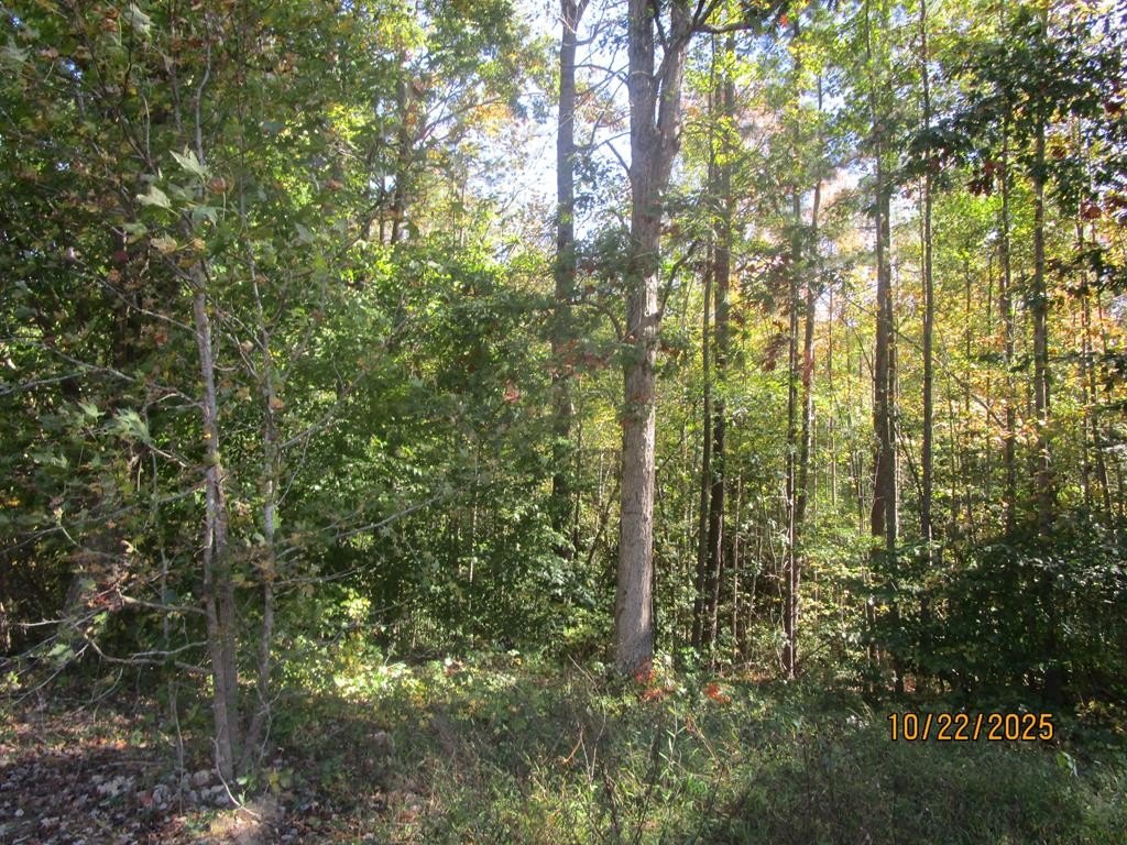 Victoria, VA 38.82-Acre Land