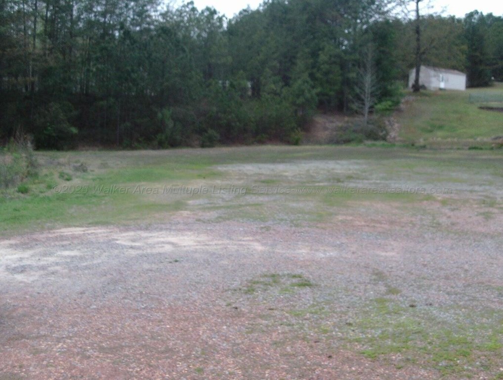 Picture 8