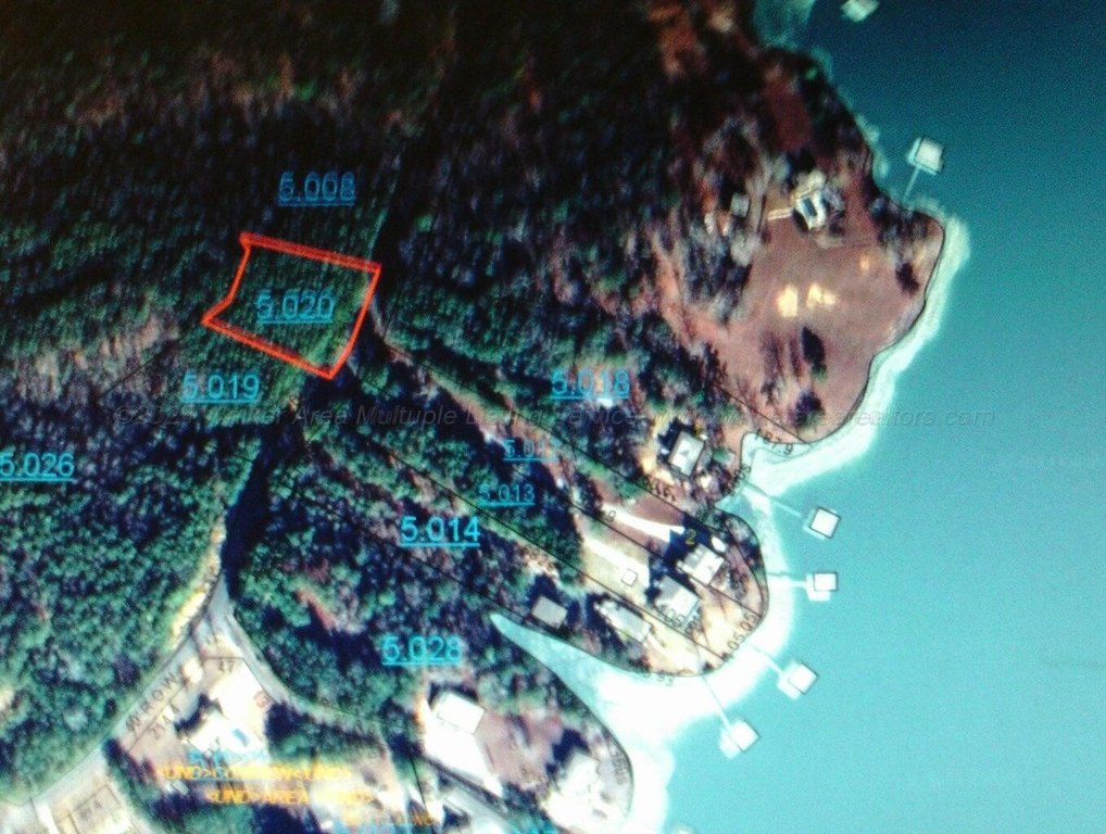 Picture 3