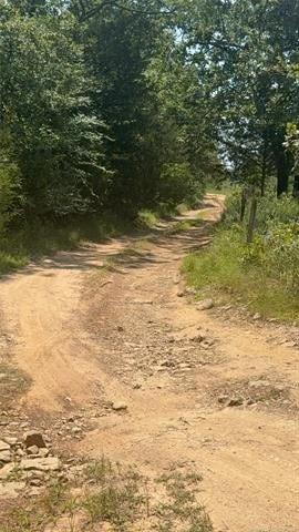 Picture 20