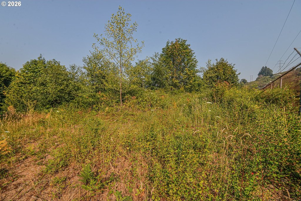 Picture 3