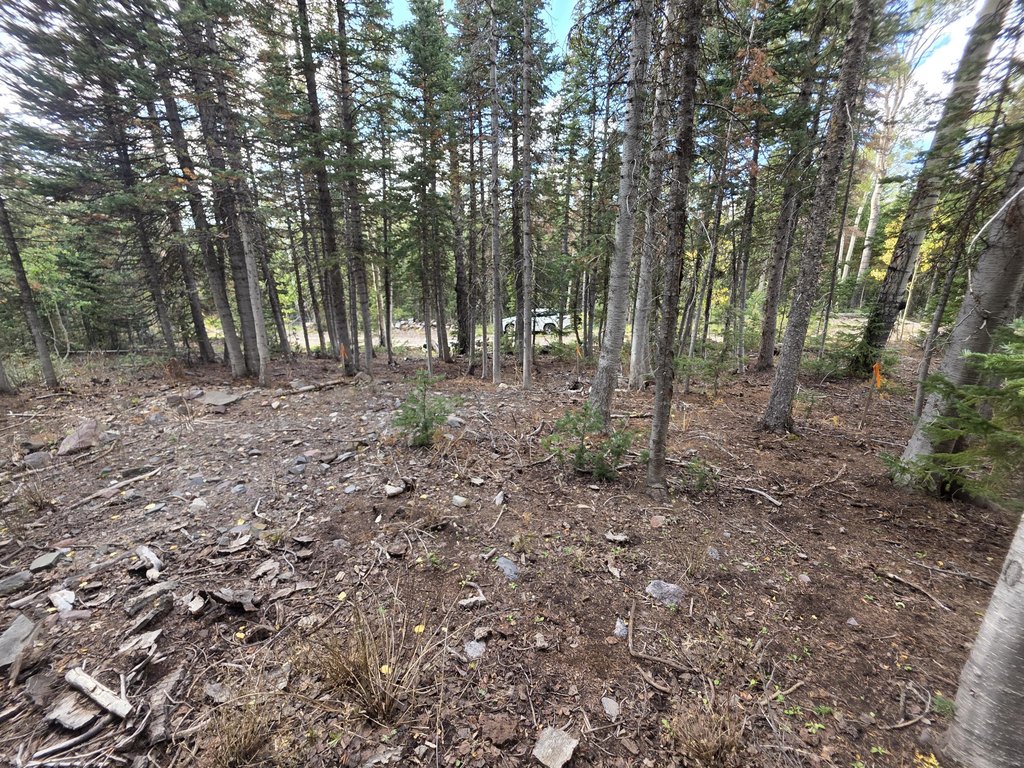 Picture 14