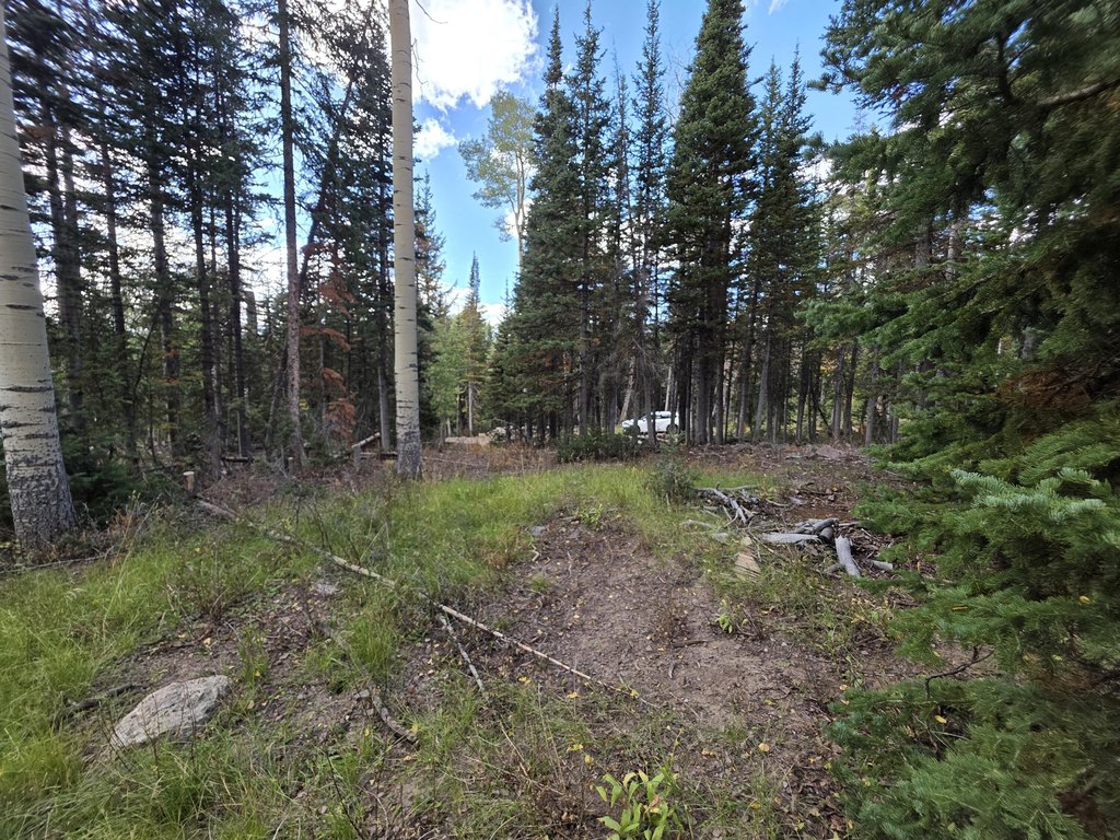 Picture 8
