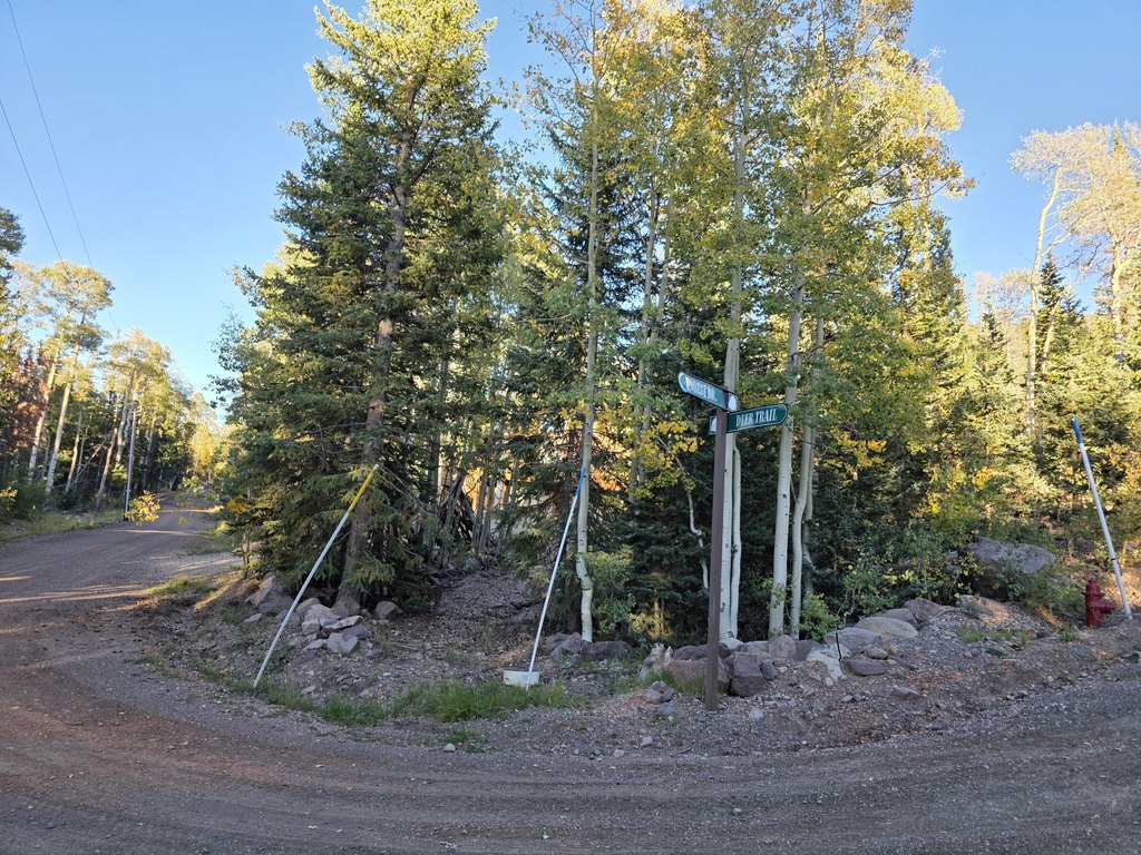 Picture 34