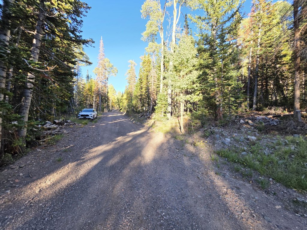 Picture 30