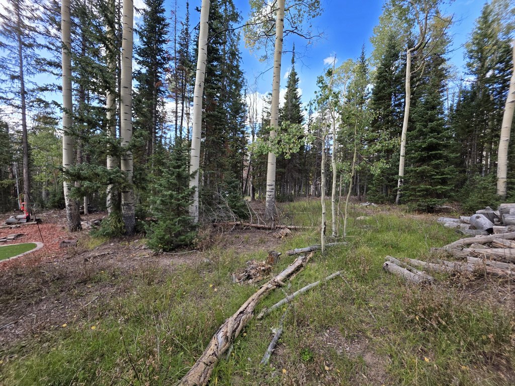 Picture 10