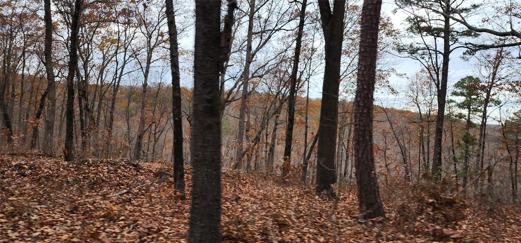 Picture 17