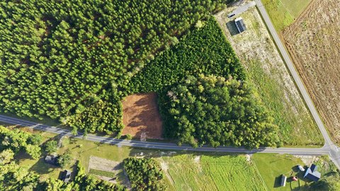 LAND, Mullins, SC