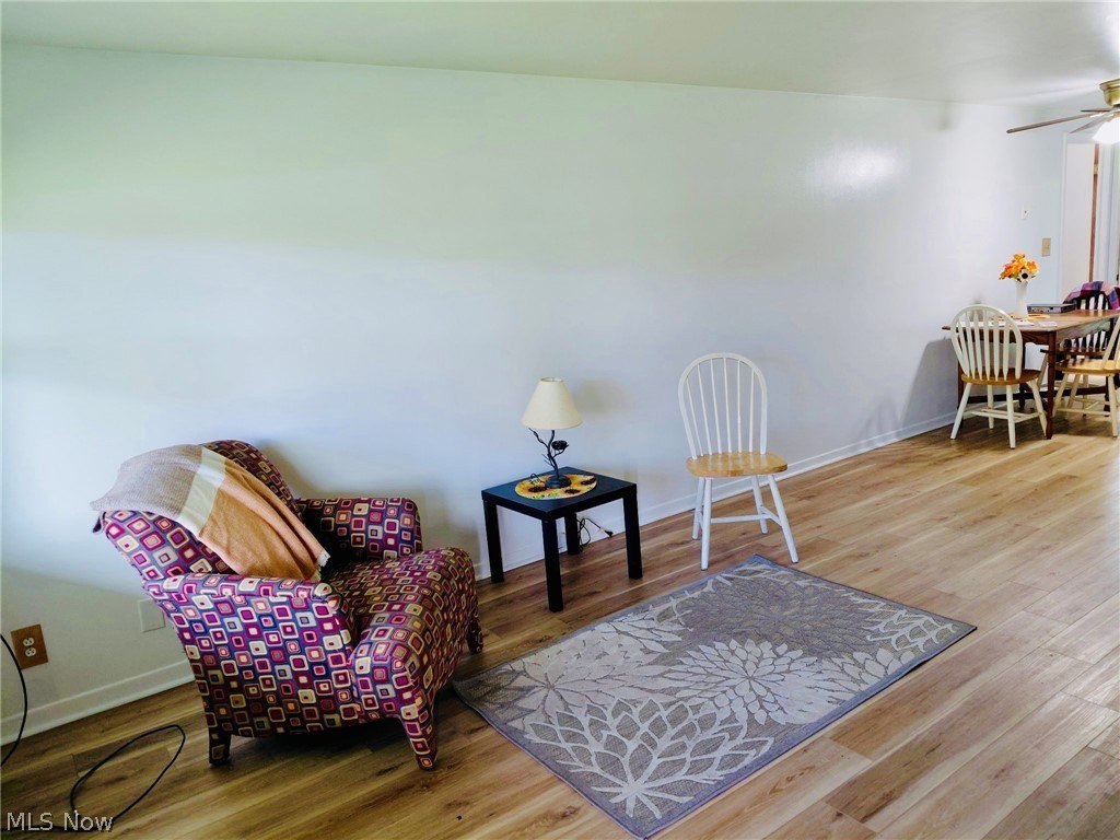 Picture 12
