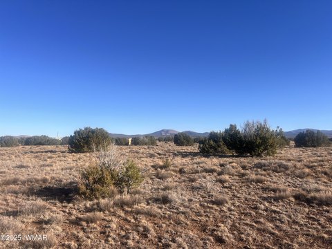 Vernon, AZ Land Parcel
