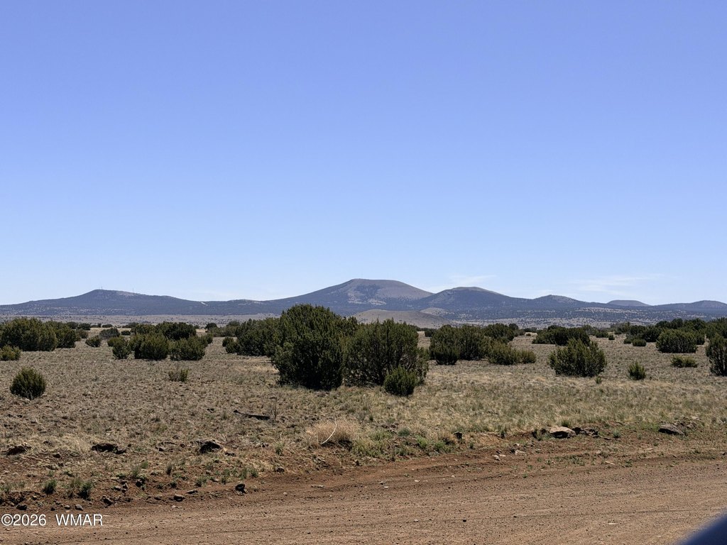 Picture 8