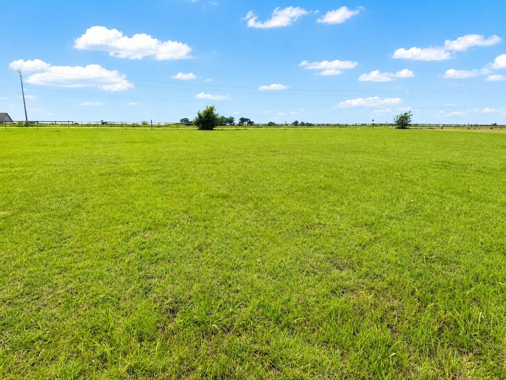 Picture 29