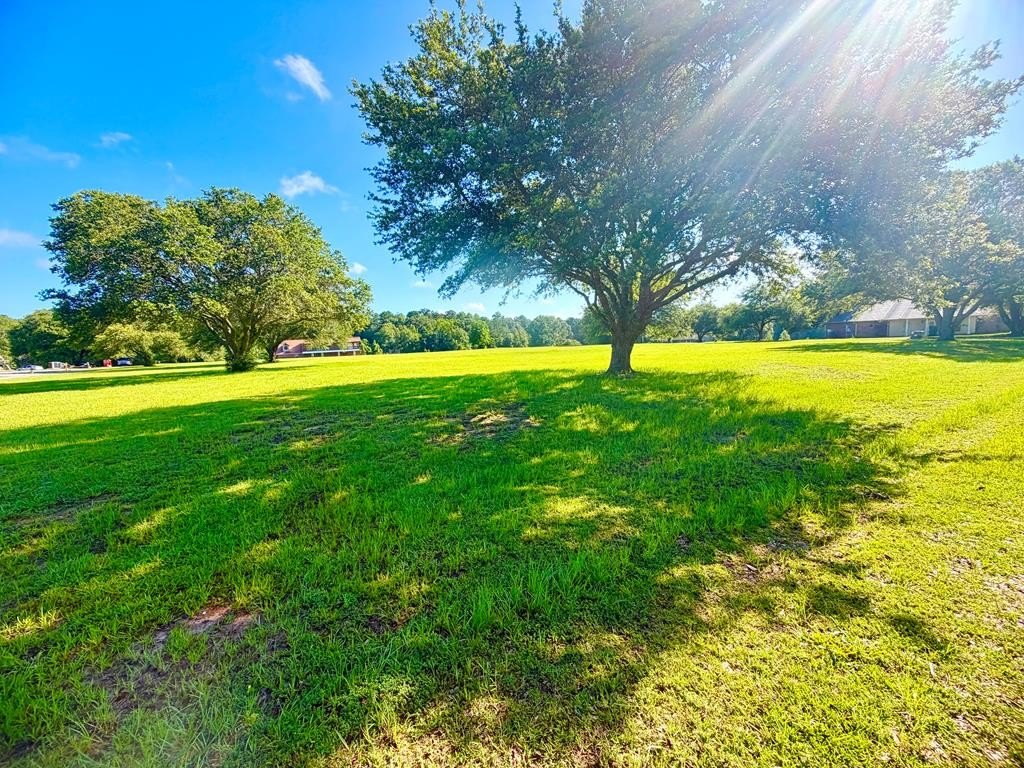 Picture 14