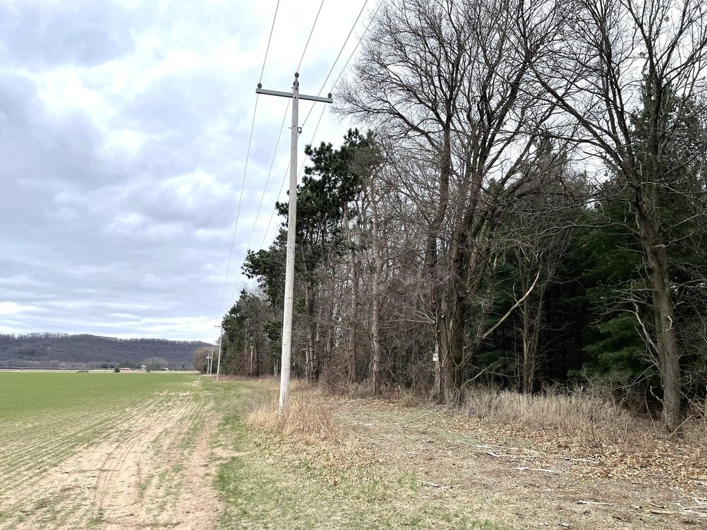 Picture 16